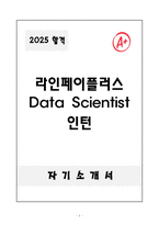 [A+] 라인페이플러스 Data Scientist 인턴-1