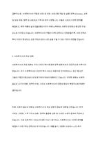 현재 우리나라의 사회복지사의 위상과 앞으로의 비전에 대하여 논하시오-7
