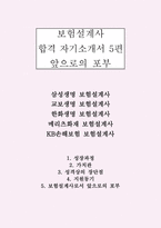 [보험설계사 자기소개서 5편] 삼성생명·교보생명·한화생명·메리츠화재·KB손해보험: 5대 보험사 합격 자기소개서 보험설계사 자소서 5편-1