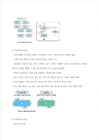 청주대 인공지능의 이해 기말 내용 족보-5