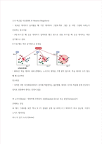 청주대 인공지능의 이해 기말 내용 족보-9
