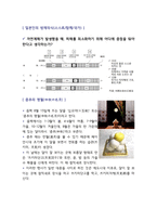 창주대  일본인의 삶 기말 족보-20