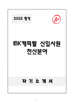A+ IBK캐피탈 신입사원 전산분야 자기소개서-1