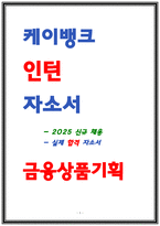 케이뱅크 인턴 자소서-1