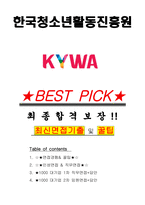 한국청소년활동진흥원 면접기출(최신)+꿀팁[최종합격!] +1000대기업 1차 직무면접 + 2차 임원면접 최종합격자 답안-1
