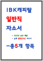 IBK캐피탈 자소서-1