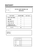 현대자동차 해외진출 성공사례-1