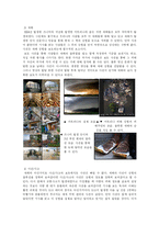 [저널리즘 이론] 포토저널리즘-9