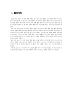 [광고론] 국내외 비교 광고에 대한 고찰-3