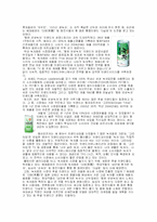[식품관능평가] 녹차 음료-2