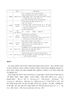 [유아교육] 다문화 교육-9