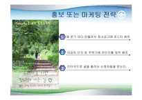 [사업계획서] 평생교육경영 사업계획서(자연)-17