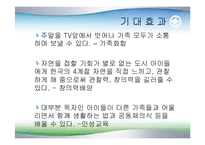 [사업계획서] 평생교육경영 사업계획서(자연)-18