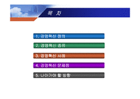 [경영] 경영혁신-2
