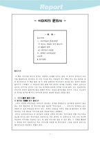 [문화사] 이미지의 문화사-2
