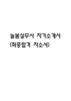 늘봄실무사 자기소개서 (늘봄행정실무사 최종합격 자소서)-1