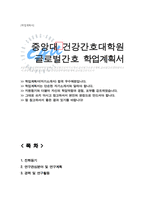중앙대학교 건강간호대학원 글로벌간호전공 학업계획서-1