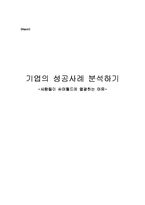 [경영, 마케팅] 싸이월드의 성공요인-2