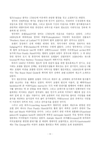[관광경영] 동. 서양호텔의 발전 과정-13