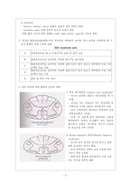 [재활의학] Spinal Cord Injury-6