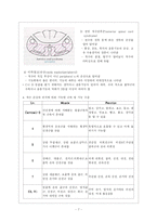 [재활의학] Spinal Cord Injury-7