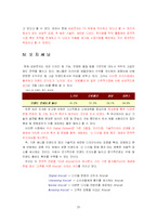 [마케팅] 삼성전자 애니콜의 중국 마케팅 성공 사례(A+대박 레포트)-20