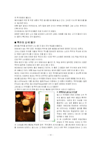 체코의 모든것 레포트-13