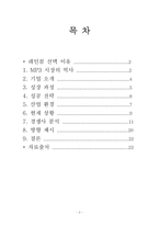 [국제마케팅] 레인콤(아이리버)의 글로벌 마케팅-2