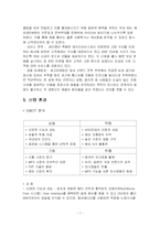 [국제마케팅] 레인콤(아이리버)의 글로벌 마케팅-7