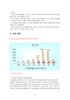 [국제마케팅] 레인콤(아이리버)의 글로벌 마케팅-9