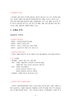 [국제마케팅] 레인콤(아이리버)의 글로벌 마케팅-11