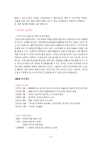[국제마케팅] 레인콤(아이리버)의 글로벌 마케팅-13