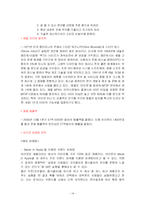 [국제마케팅] 레인콤(아이리버)의 글로벌 마케팅-14