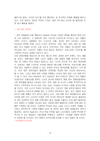 [국제마케팅] 레인콤(아이리버)의 글로벌 마케팅-18