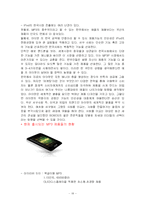 [국제마케팅] 레인콤(아이리버)의 글로벌 마케팅-19