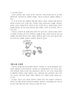 [음악] 거문고의 이론-4