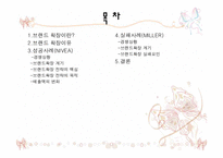 [마케팅] 브랜드확장 -성공사례와 실패사례-2
