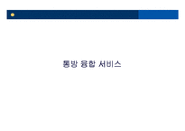 [정보사회론] IPTV-15