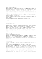스키의 기술 레포트-17