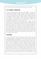 [서양사] 제 1차 세계대전-6