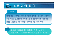 [국제경영론] 문화의 몰이해로 인한 실패 사례들-3