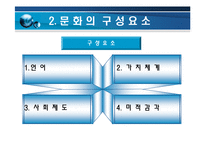 [국제경영론] 문화의 몰이해로 인한 실패 사례들-4