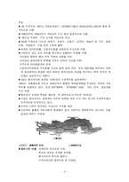 [관광] 폐광지역도시계획사례-독일 엠셔파크, 강원도정선군 강원랜드-8