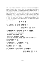 [관광] 폐광지역도시계획사례-독일 엠셔파크, 강원도정선군 강원랜드-11