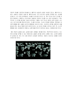 [사회심리학] 사회 영향 - 동조, 순종, 복종-14