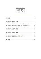 [사회학] 댓글문화의 양면성-2