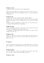 [기업경영] 매스티지 브랜드 빈폴의 마케팅 전략-14