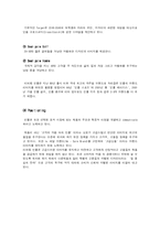 [기업경영] 매스티지 브랜드 빈폴의 마케팅 전략-15