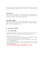 [기업경영] 매스티지 브랜드 빈폴의 마케팅 전략-18
