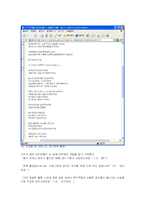 [인터넷과 커뮤니케이션] 댓글문화의 어제와 오늘, 그리고 내일-8